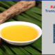Flexitanks A Bulk Liquid Transport Solution For Palm Oil-Fluid Flexitanks in India